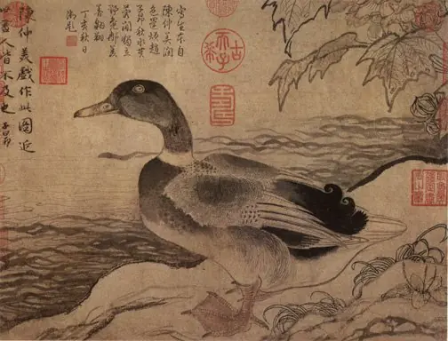 Wild Duck by a River