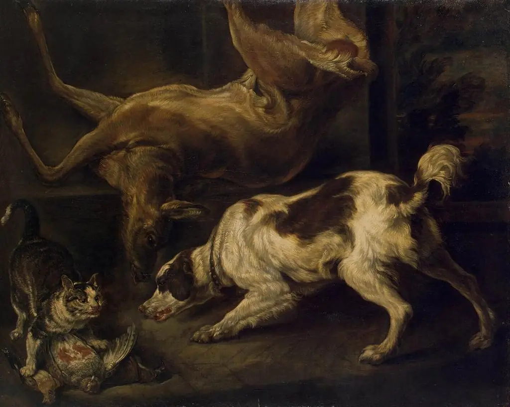 Deer, Dog and Cat