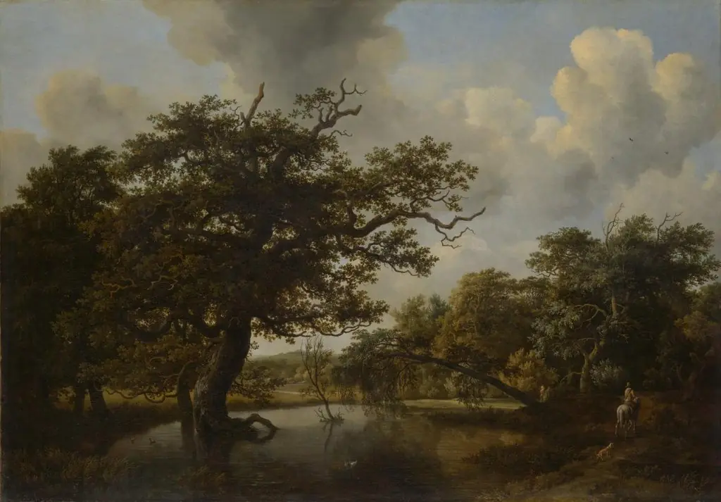 The old oak