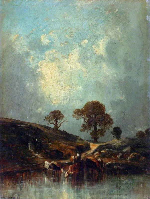 Cows Drinking