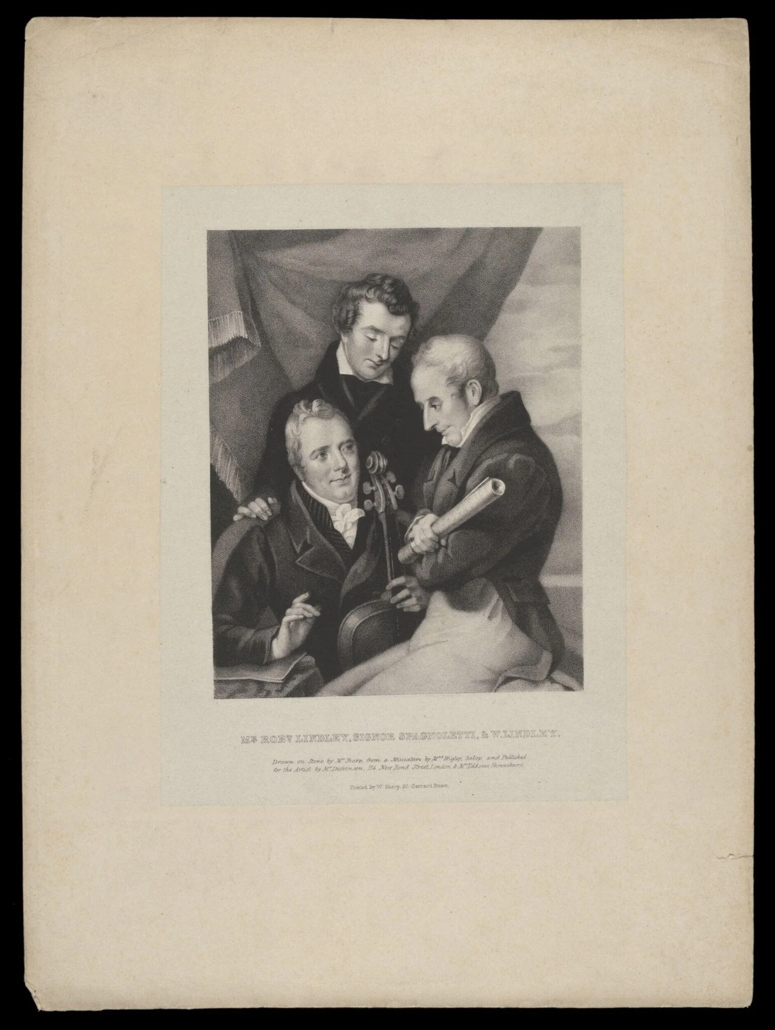 H Beard Print Collection