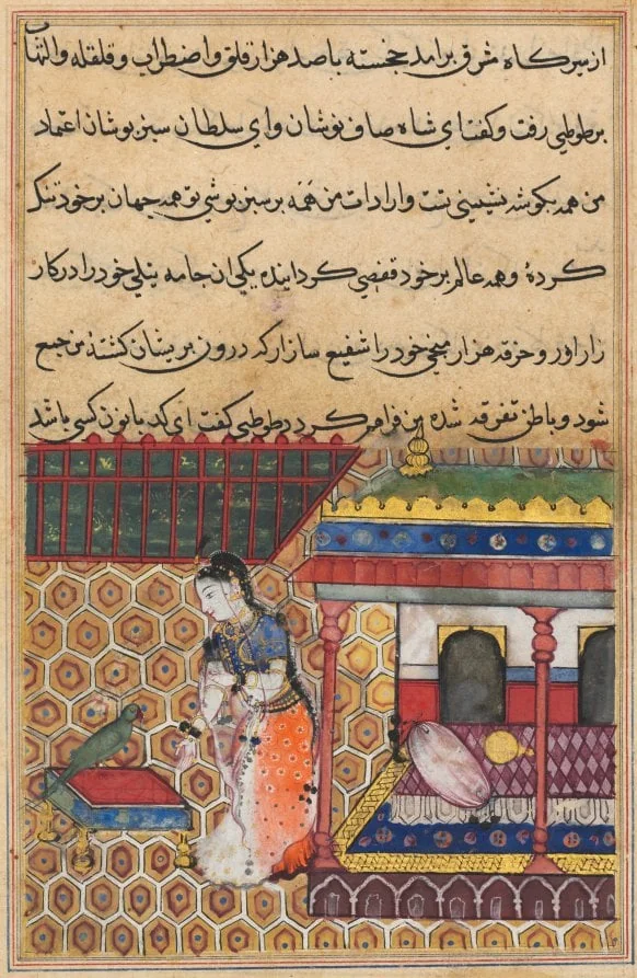 The parrot addresses Khujasta at the beginning of the thirty-eighth night, from a Tuti-nama (Tales of a Parrot), by Unknown, unspecified, 1560