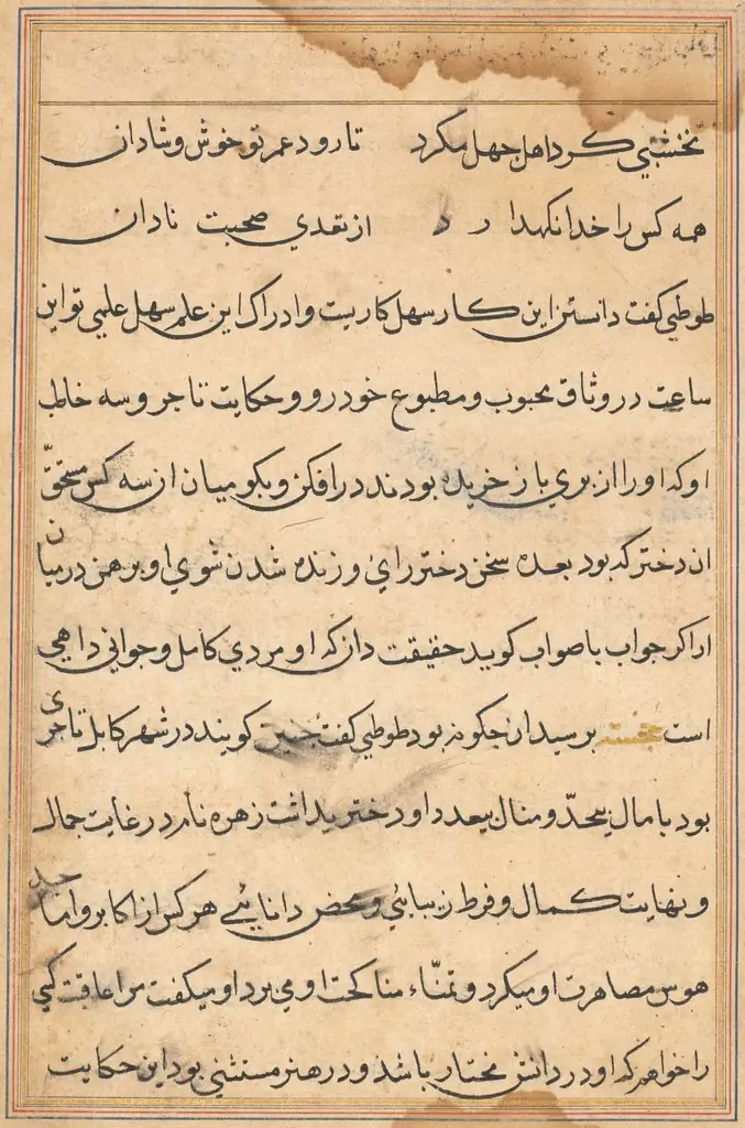 Page from Tales of a Parrot (Tuti-nama): text page