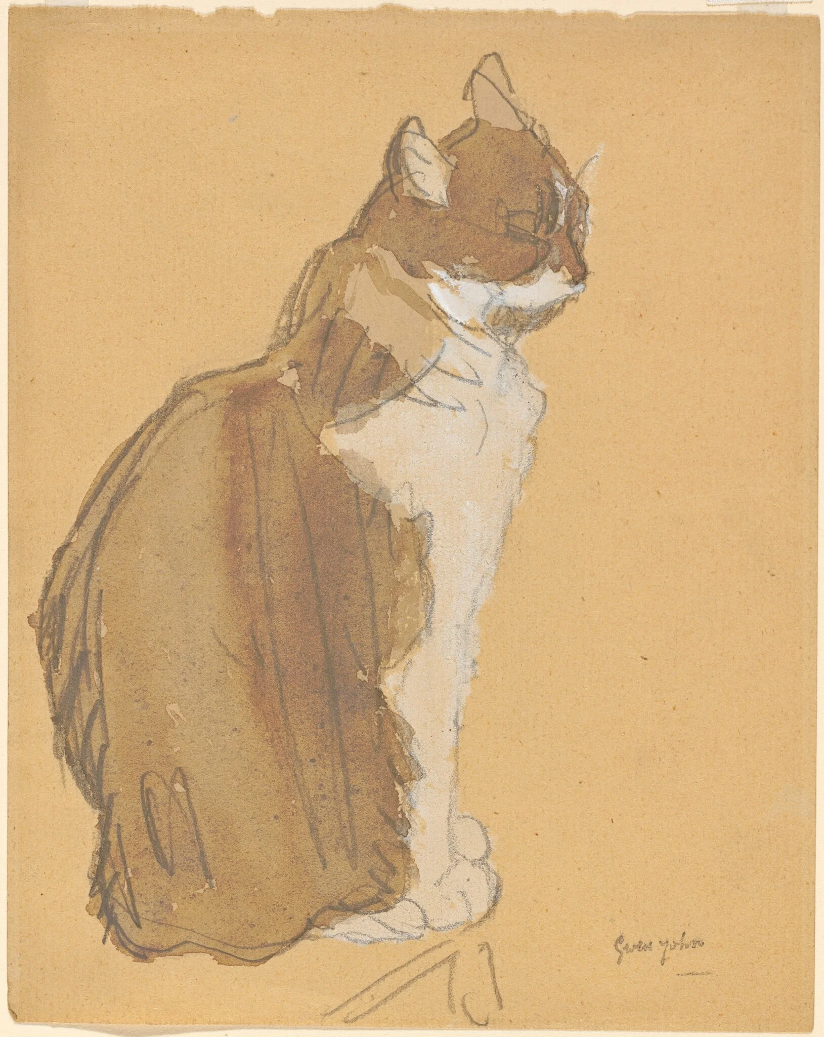 Cat with a White Front, by Gwen John, gouache, 1912