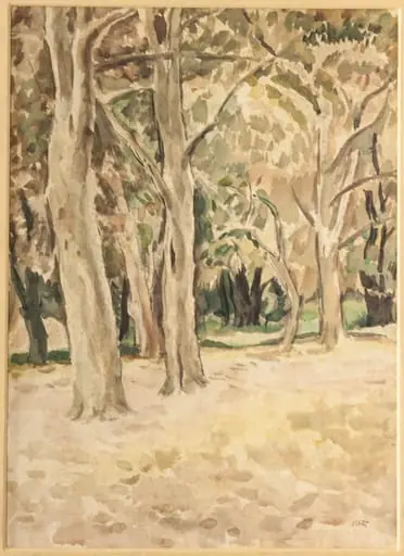 Pădure