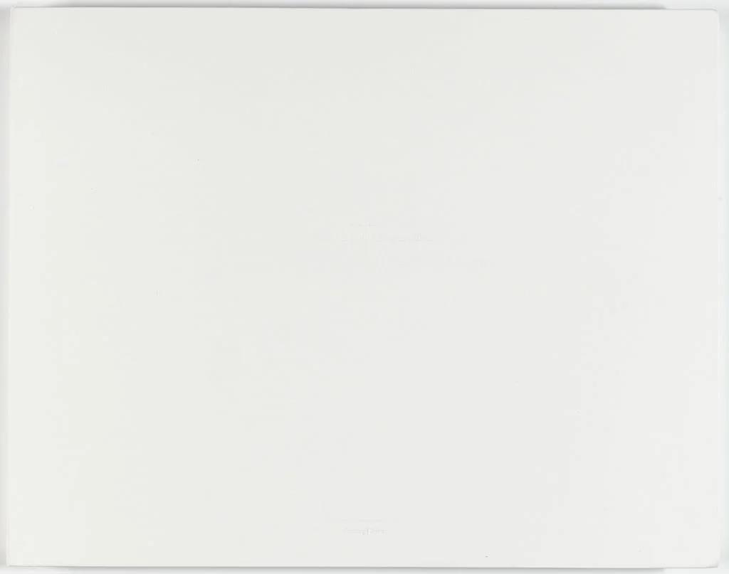 Untitled, by Walid Raad, 2006