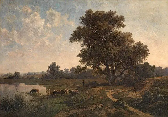 Heather near Oosterbeek