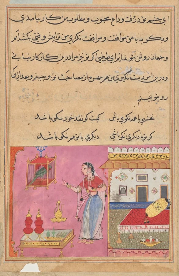 The Parrot Addresses Khujasta at the Beginning of the Twentieth Night, from a Tuti-nama (Tales of a Parrot), by Unknown, unspecified, 1560