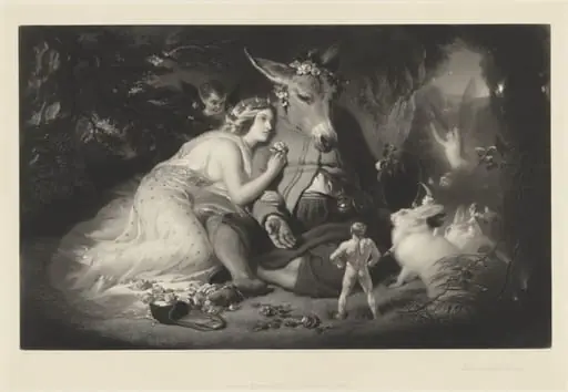 Midsummer Night's Dream