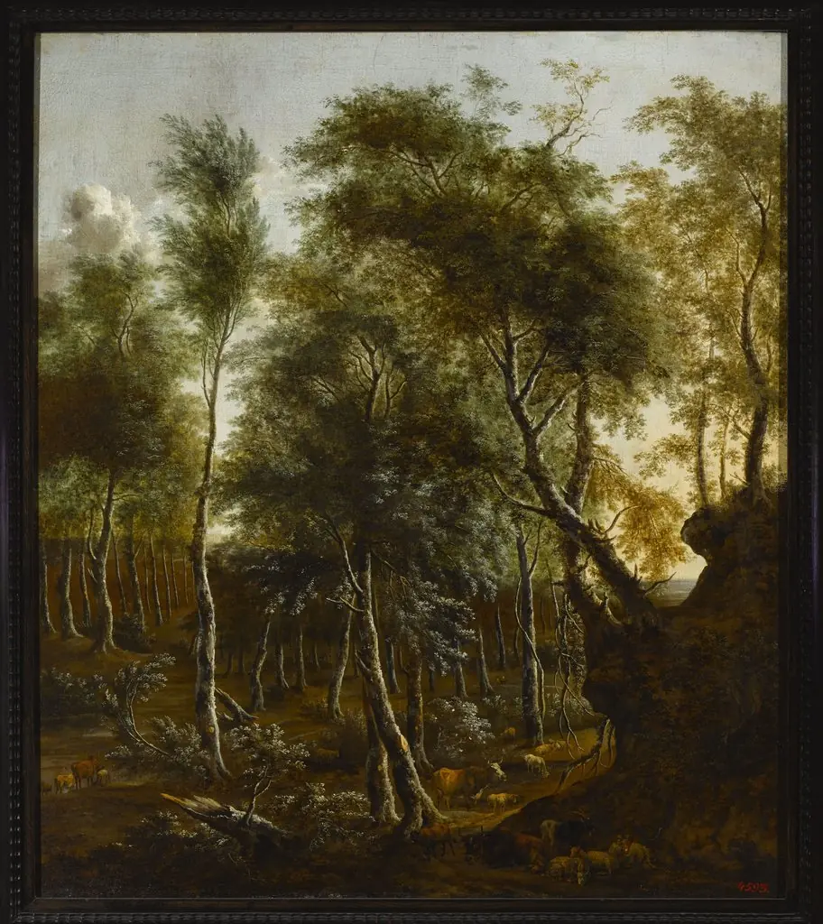Forest landscape