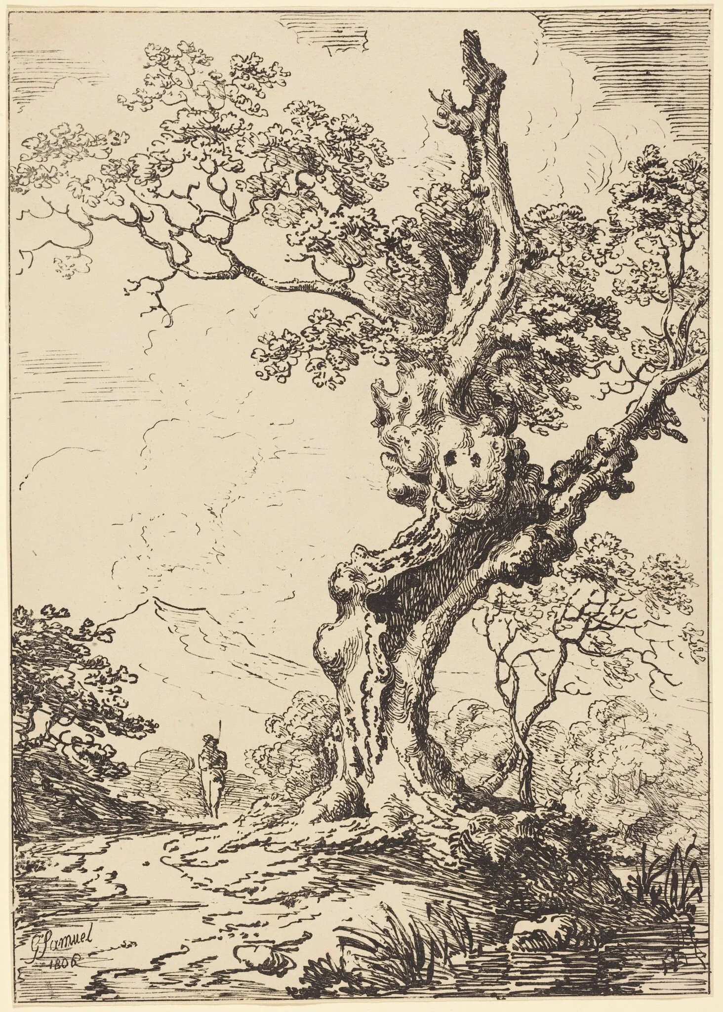 Study of an Old Oak Tree, Water on Right, a Man on Left, by George Samuel, ink, 1806