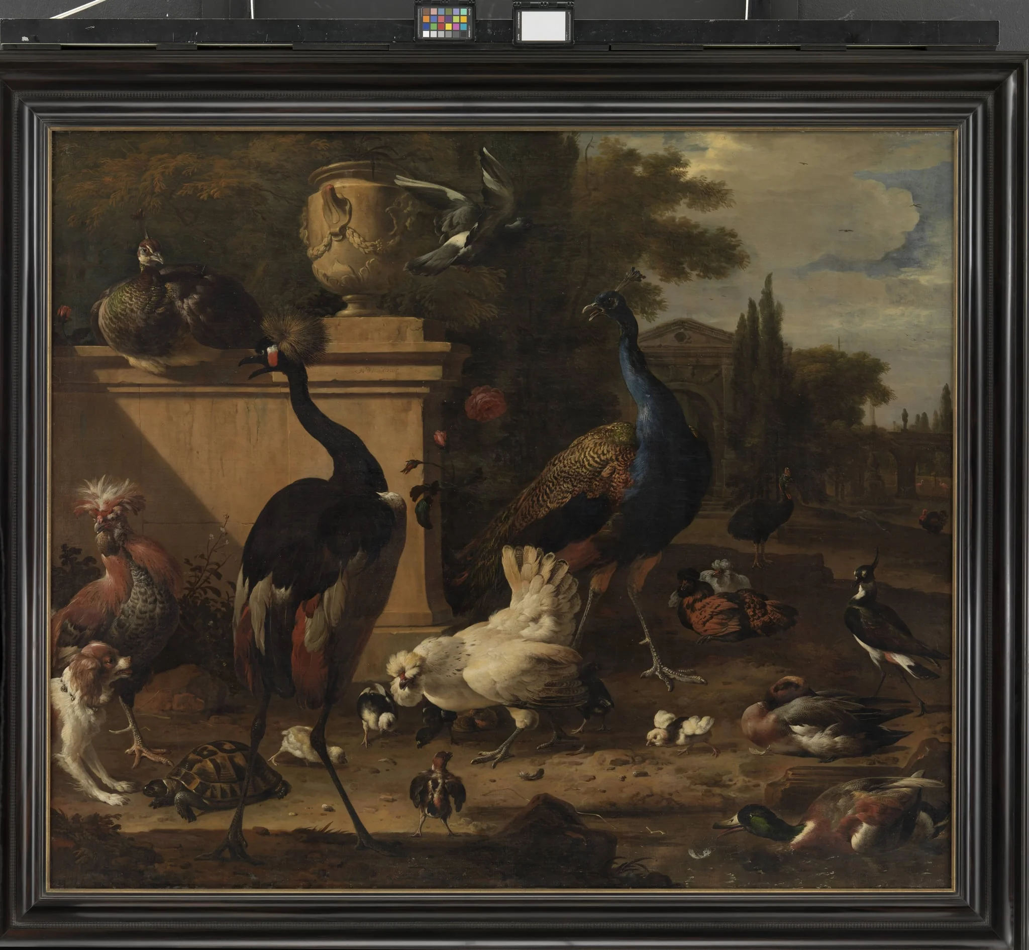 Hen Run at a Manor