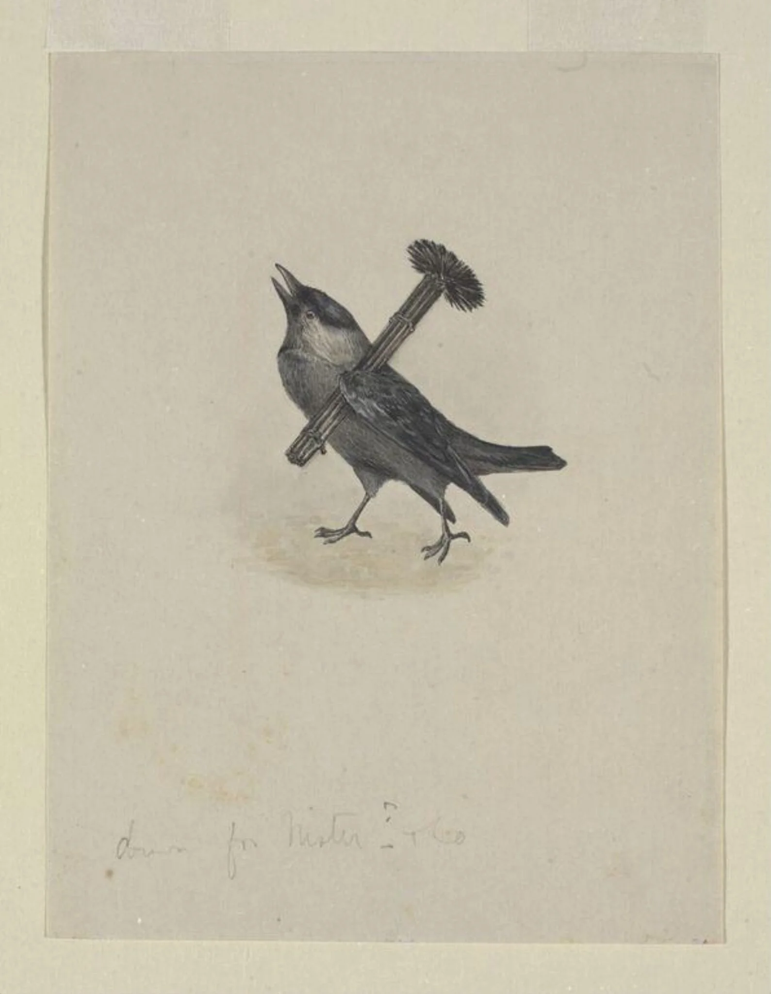 Jackdaw Sweep, by Beatrix Potter, watercolor, 30