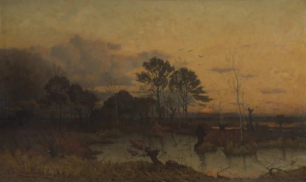 Fen in the Kempen