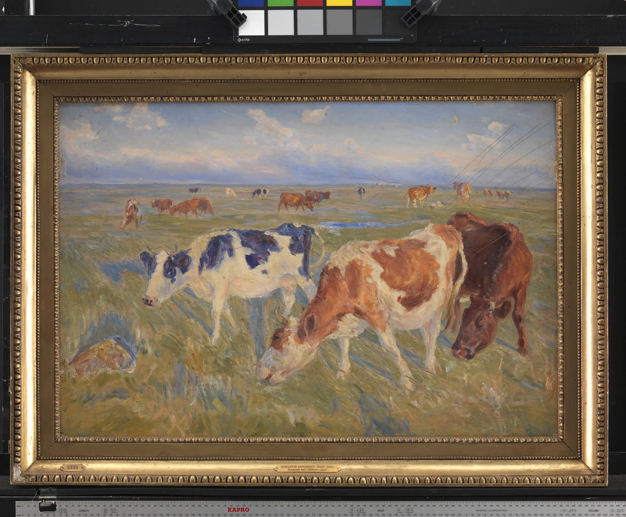 Grazing Cows on the Island of Saltholm, by Unknown, 1892