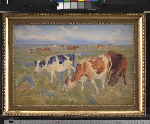 Grazing Cows on the Island of Saltholm