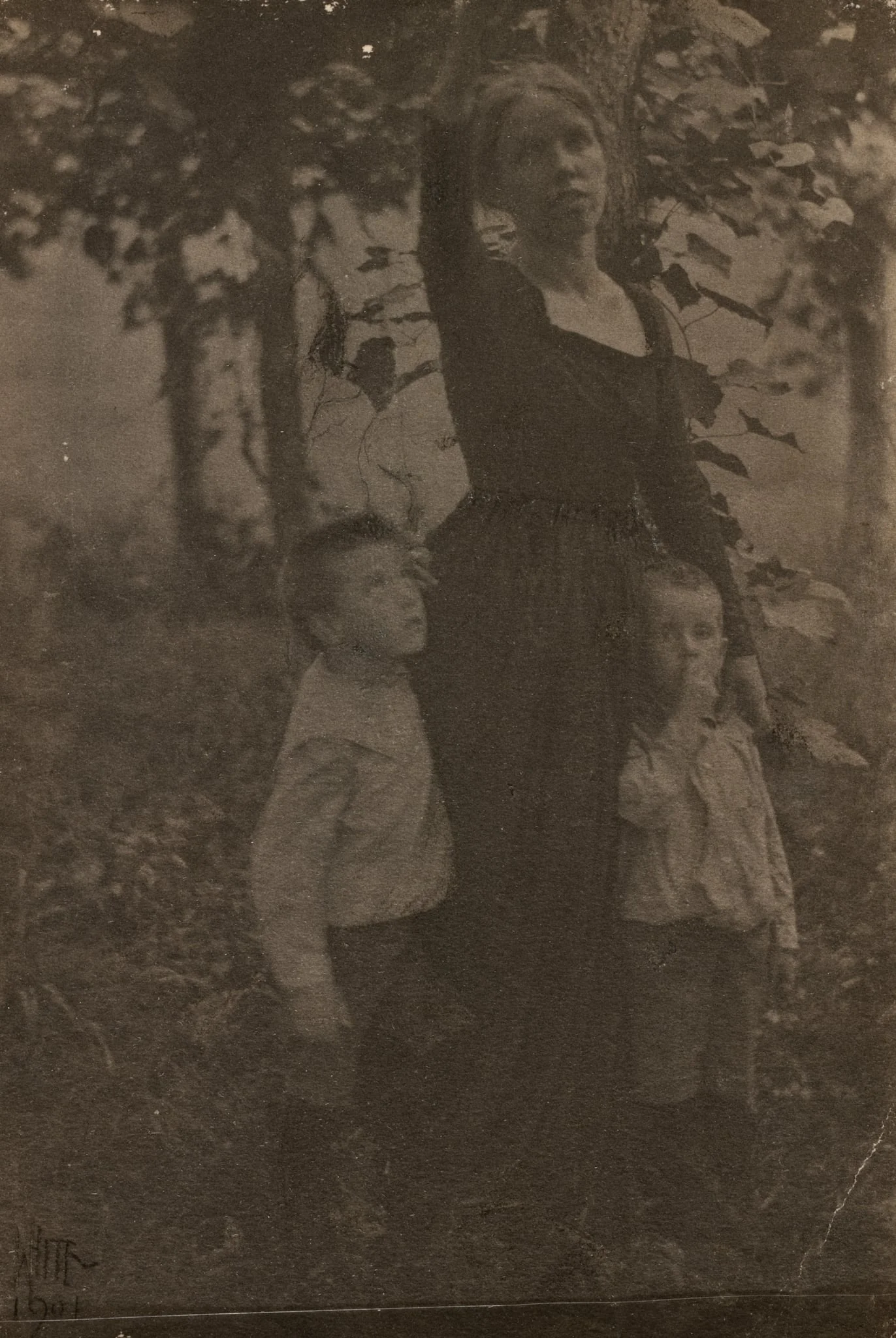 Jane White, Lewis White, and Maynard White, by Clarence H. White, 1901
