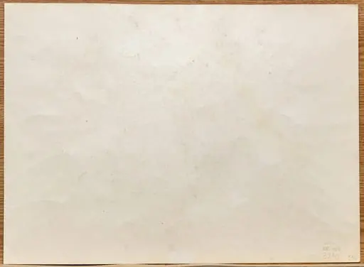 Rinoceromahie