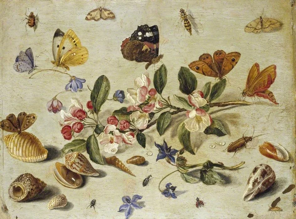 Flowers and Insects, by Jan van Kessel the Elder, oil, 1662