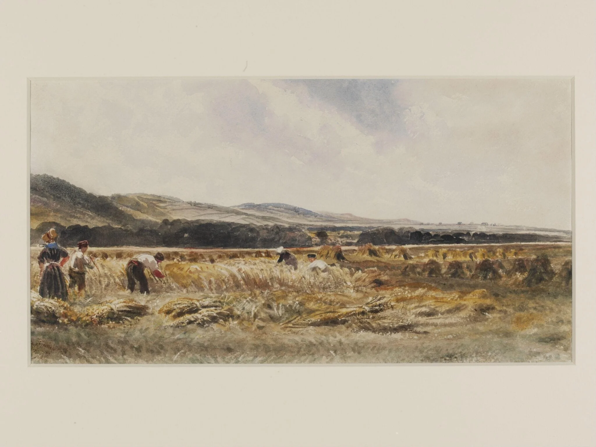 A Harvest Field