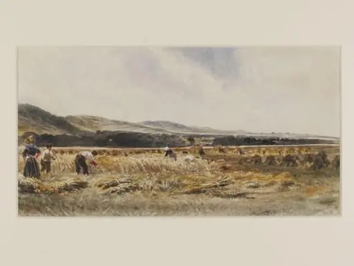 A Harvest Field