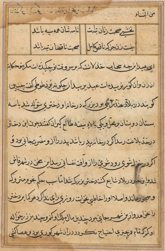 Page from Tales of a Parrot (Tuti-nama): text page