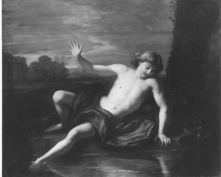 Narcissus admires his reflection in the water