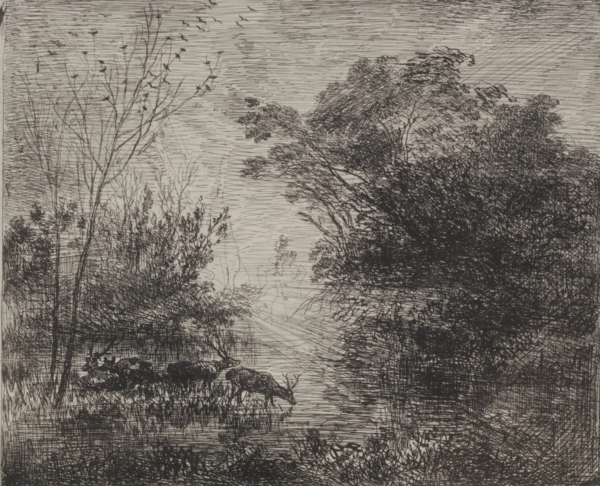 Stags, by Charles François Daubigny, 1862