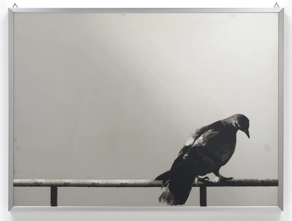Untitled, by Michelangelo Pistoletto, ink, 1973
