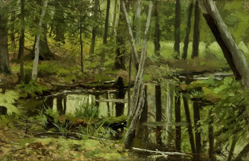 Pond in the Forest