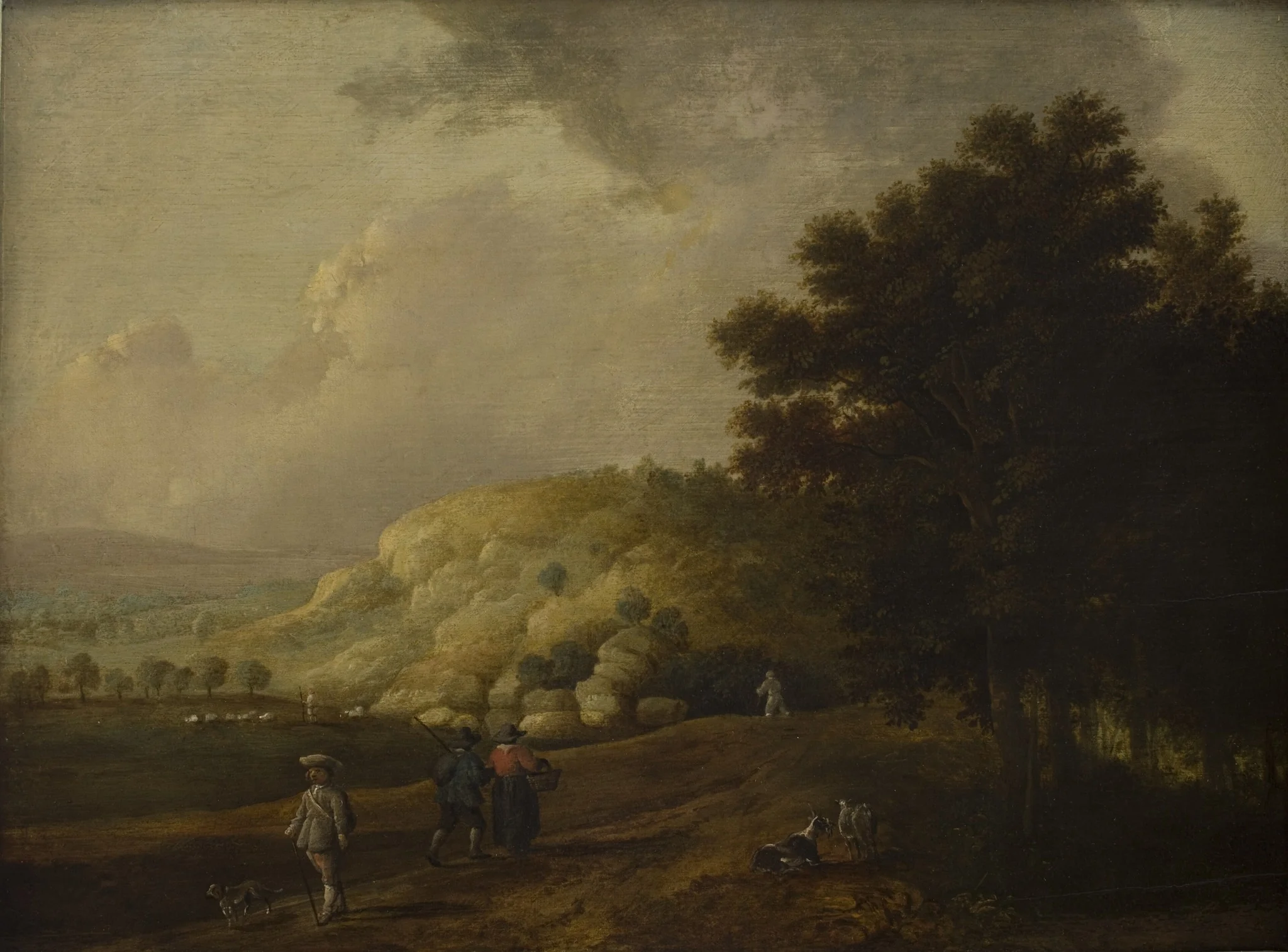 Landscape