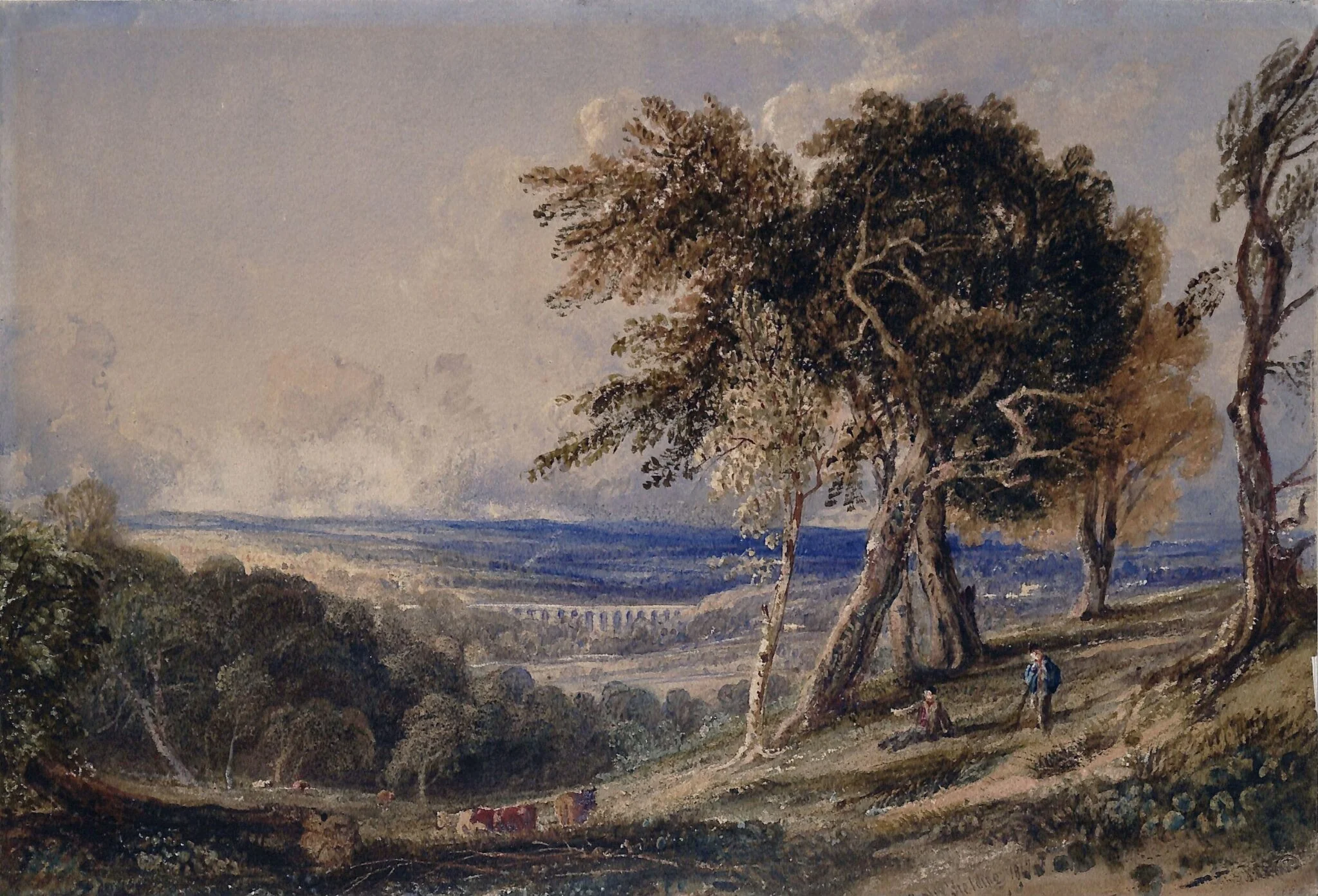Landscape