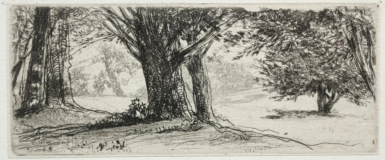 The Holly Field, by Francis Seymour Haden, 1860