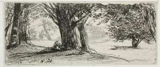 The Holly Field