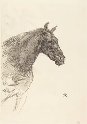 Old Horse (Le vieux cheval)