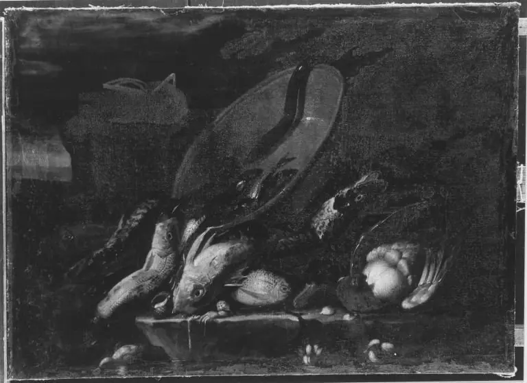 Fischstillleben