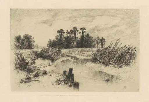 In the Newark Meadows