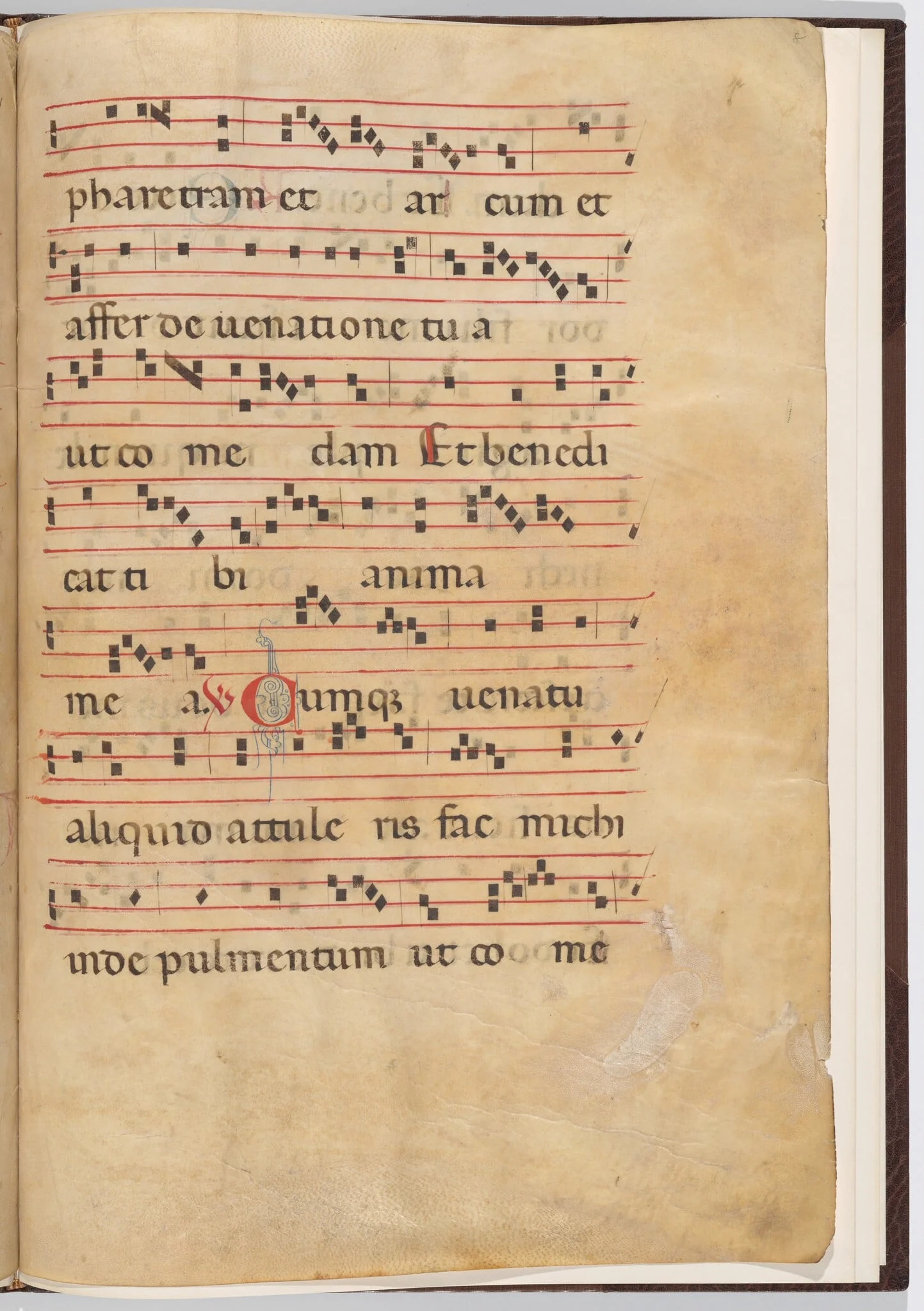 Leaf 8 from an antiphonal fragment, by Italian 13th Century, ink, 1275