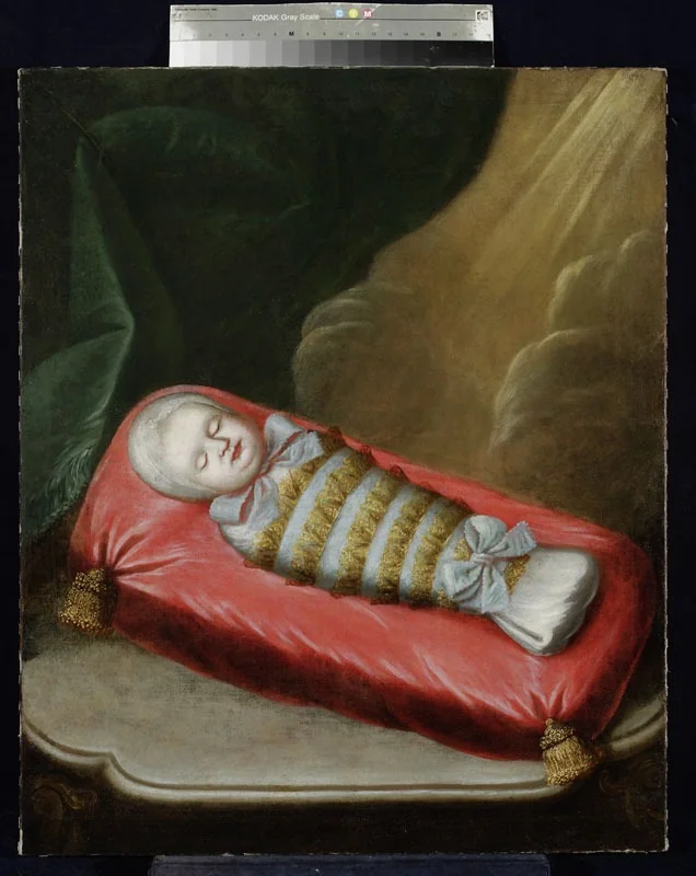 Infant in swaddles