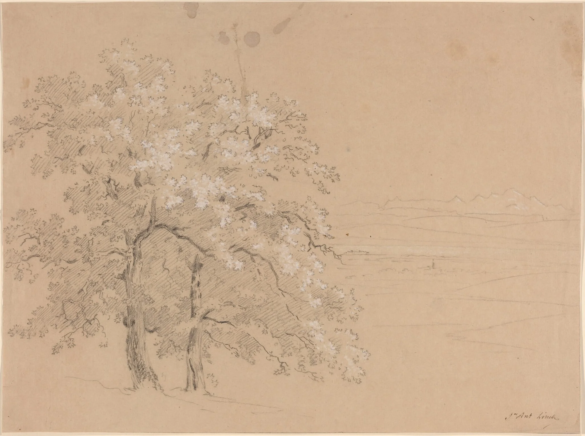 Sunlit Trees Before a Panoramic Landscape, by Jean Antoine Linck, chalk, 1814