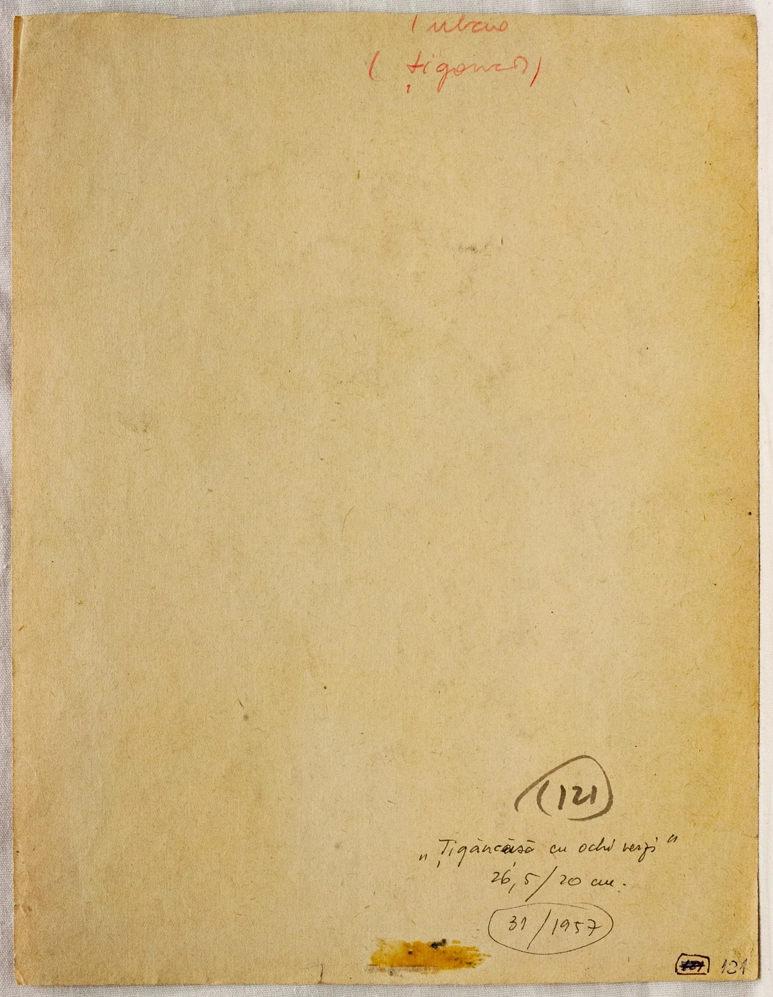 Țigăncușă cu ochi verzi (țigancă), by Silvia Șerban