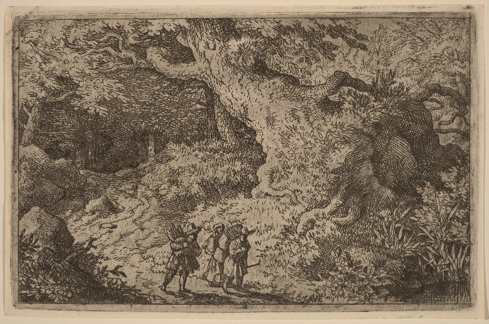 A Thick Forest, by Allart van Everdingen, ink, 1650