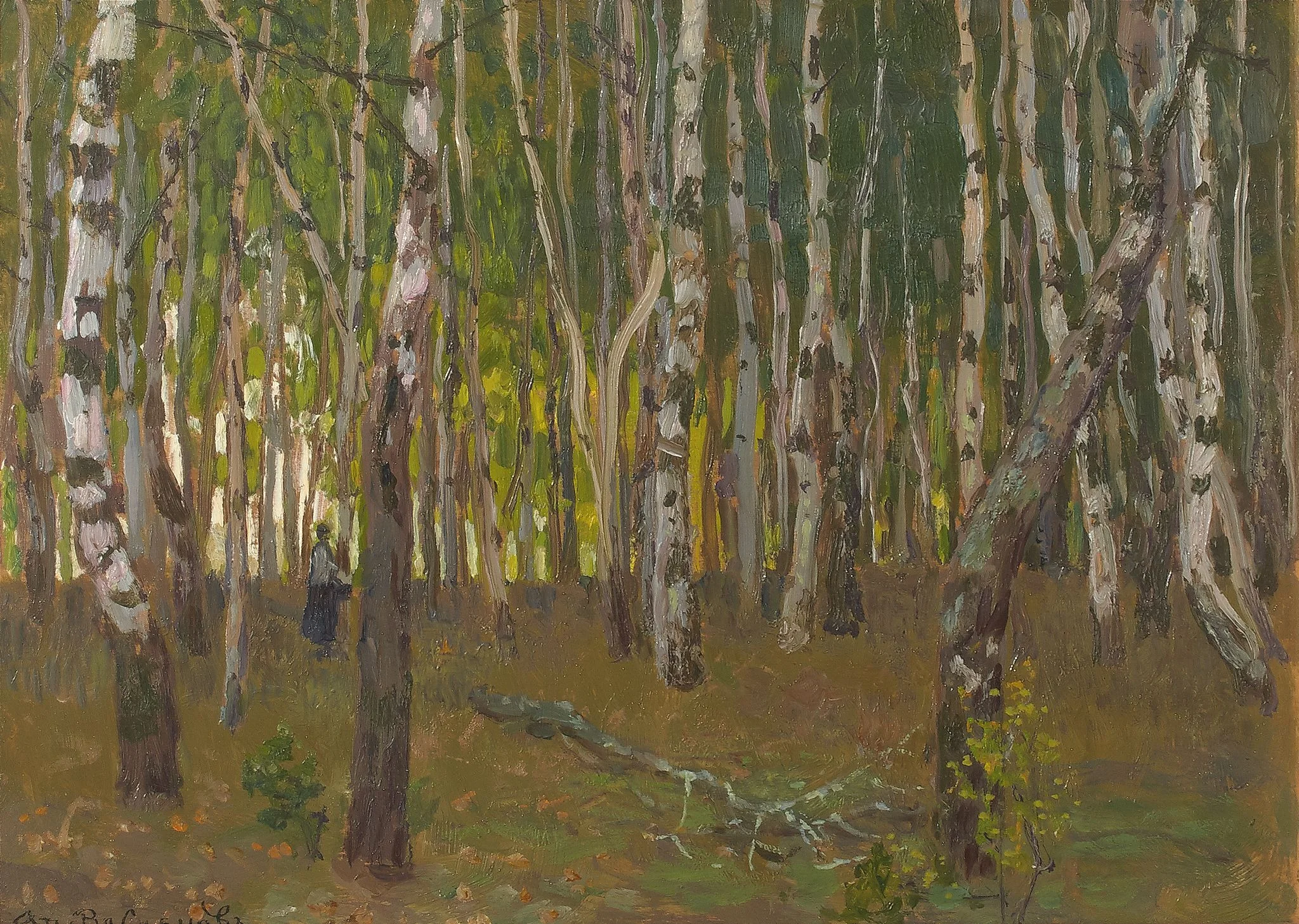 Demyanovo. Birch Grove