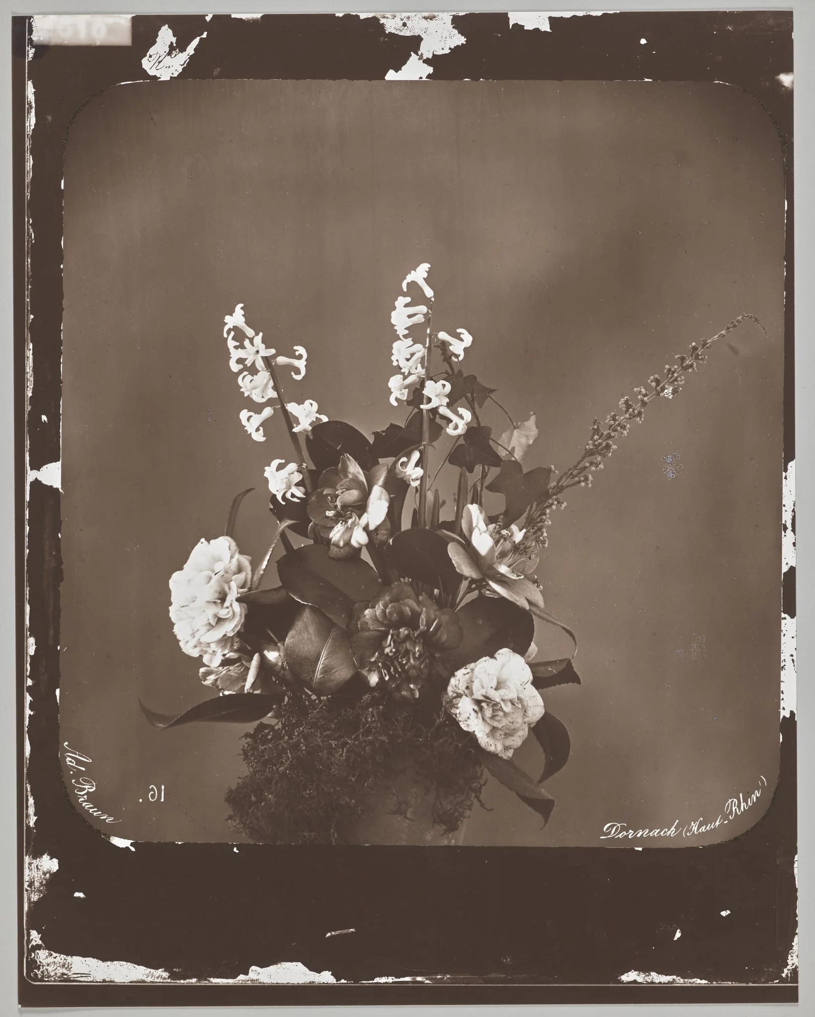 Untitled (flower arrangement)