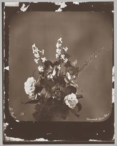 Untitled (flower arrangement)