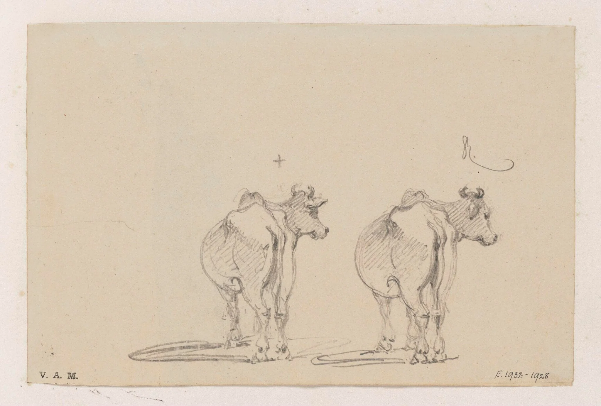 Two studies of a cow seen from behind, by George Chinnery, 19