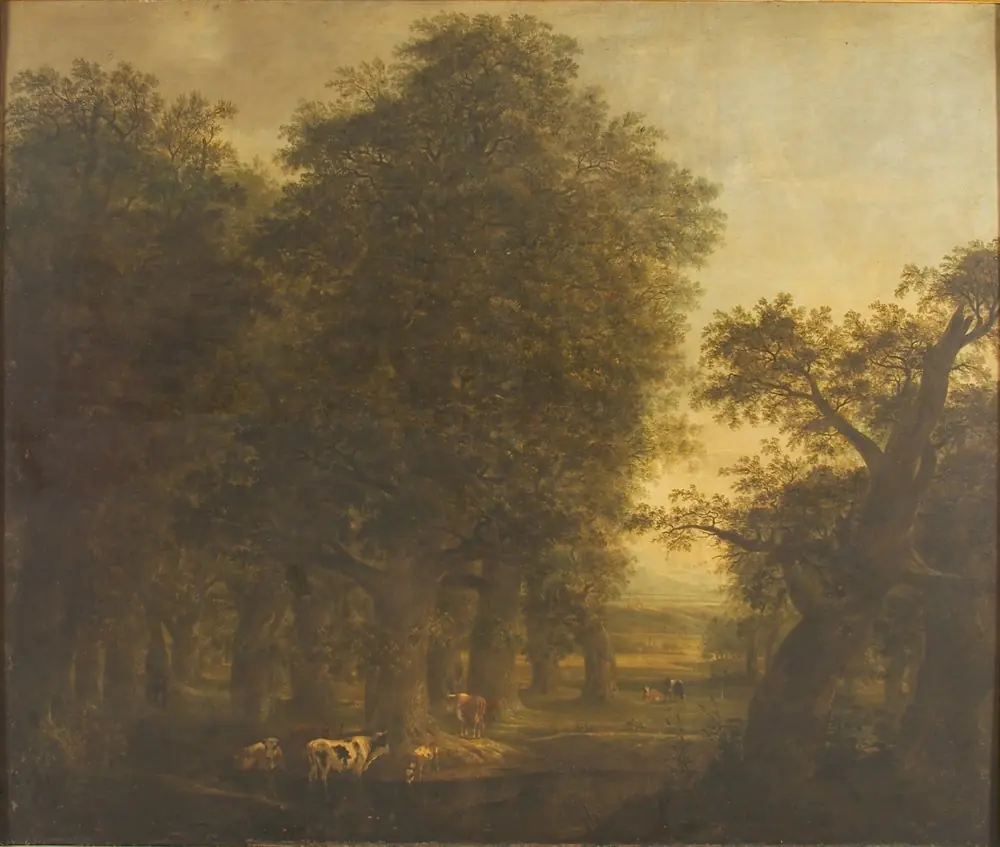 Oak Wood