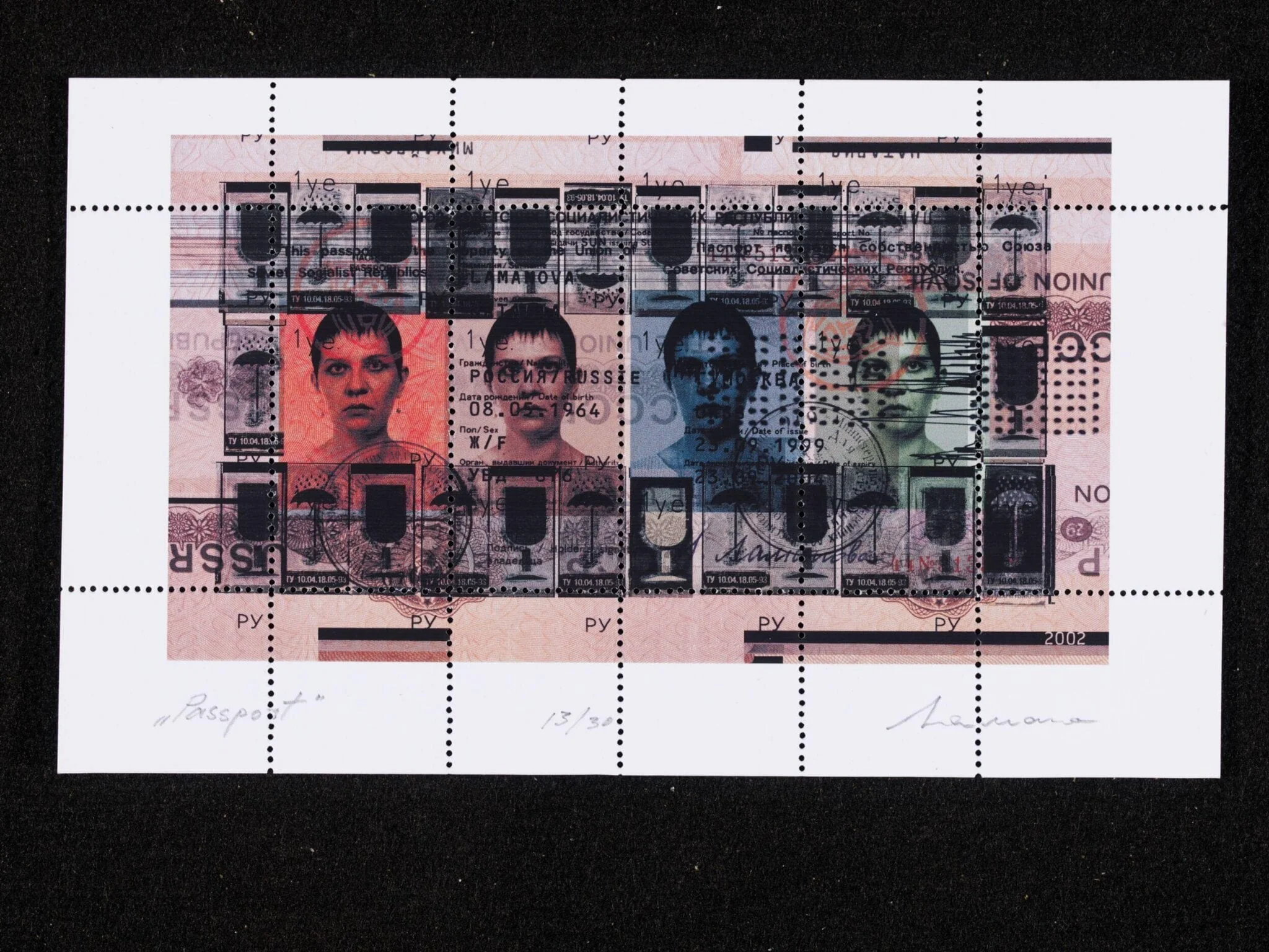 Passport