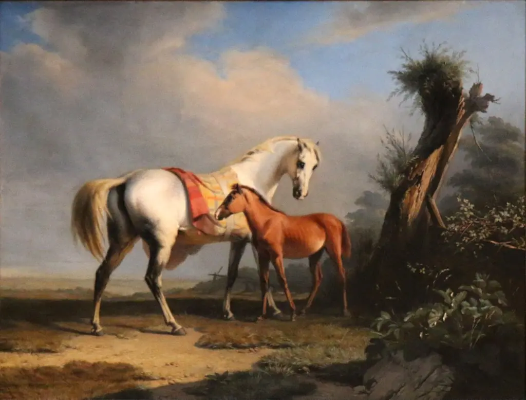 A mare and her foal
