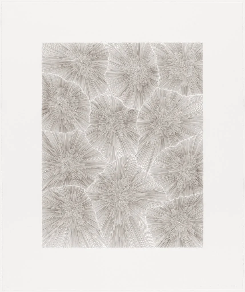 Untitled, by James Siena, ink, 2004